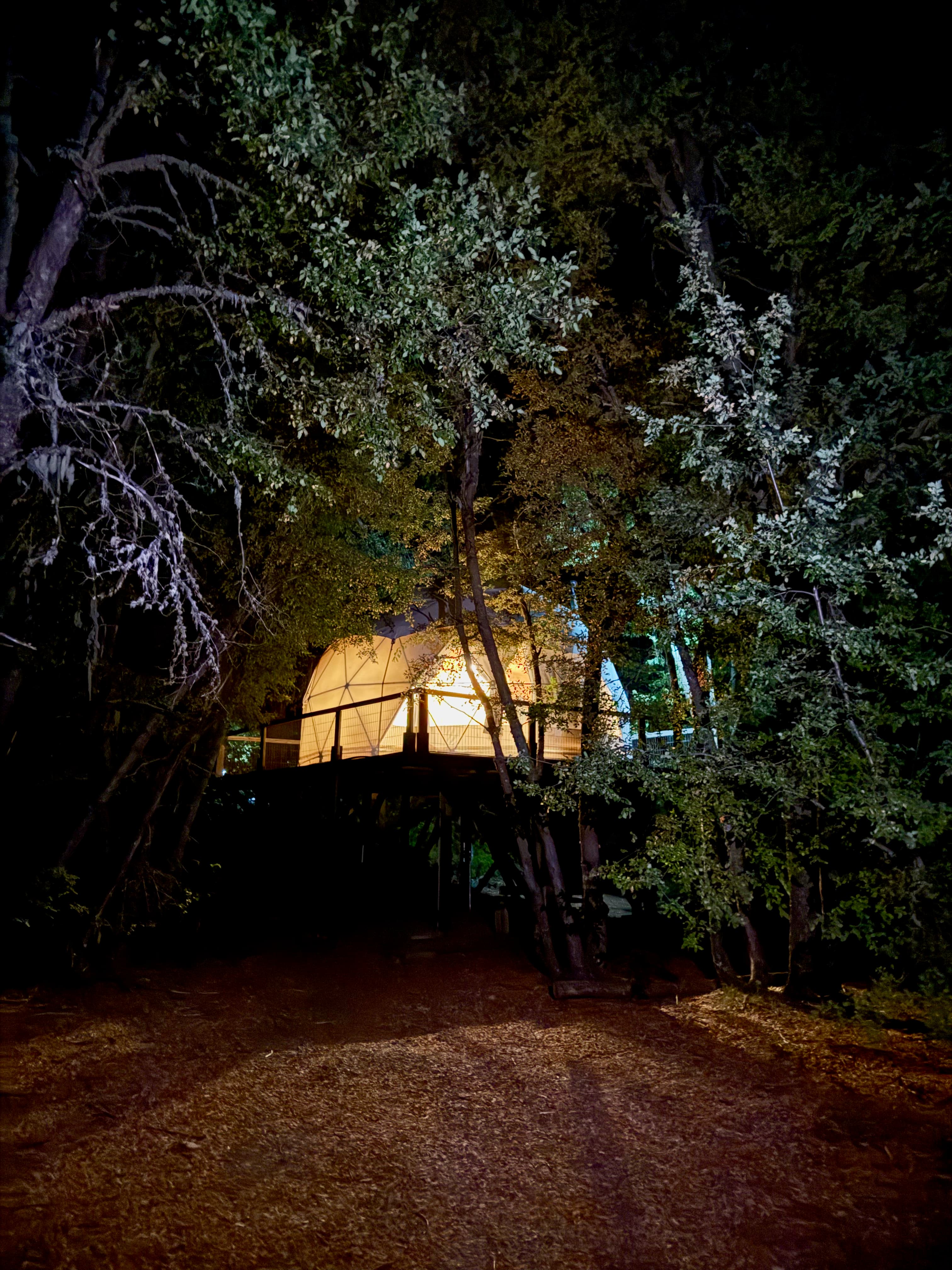 Otoño Valle Las Trancas