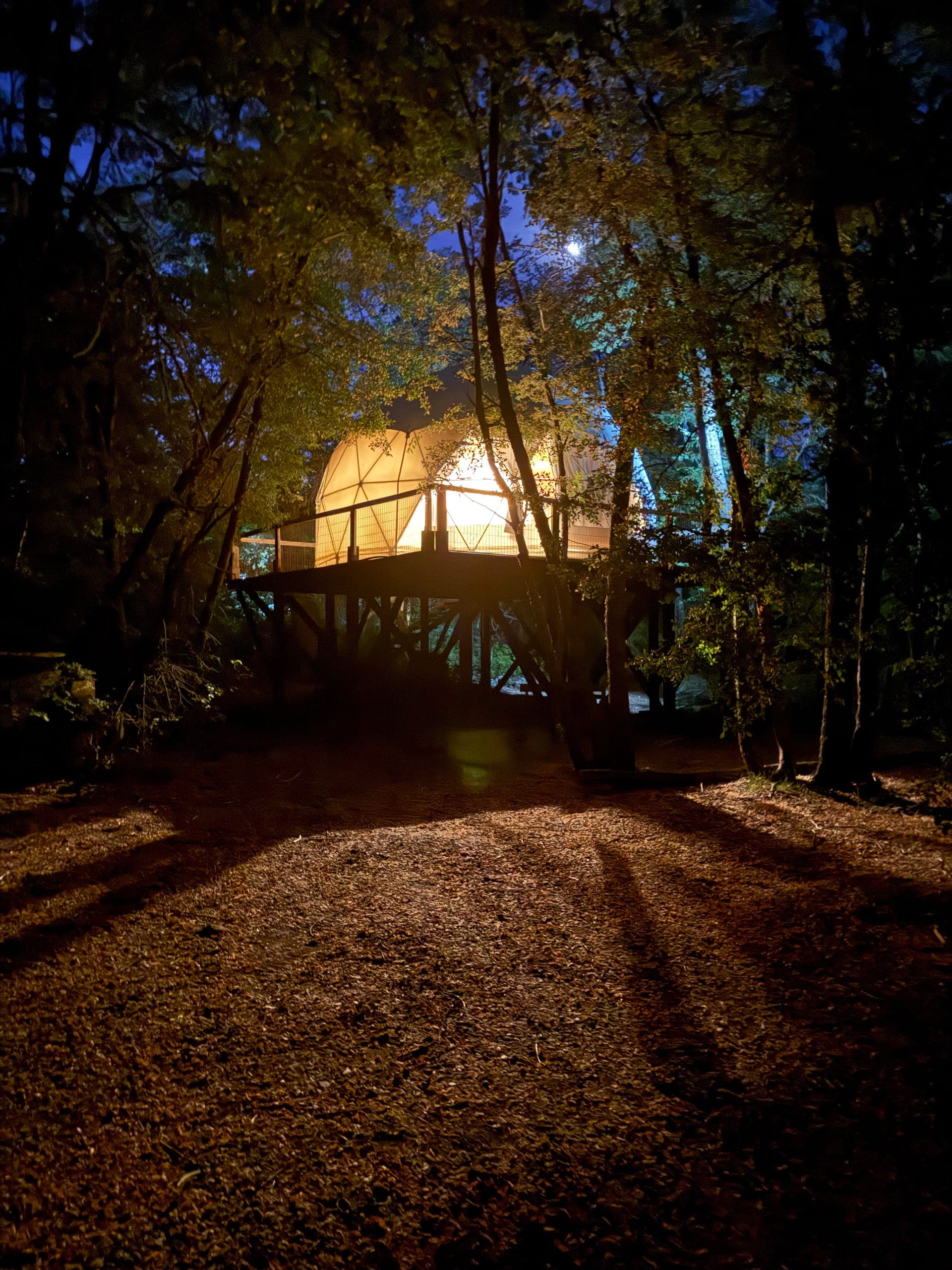 Domo geodésico elevado iluminado por dentro, de noche, entre los árboles del bosque nativo