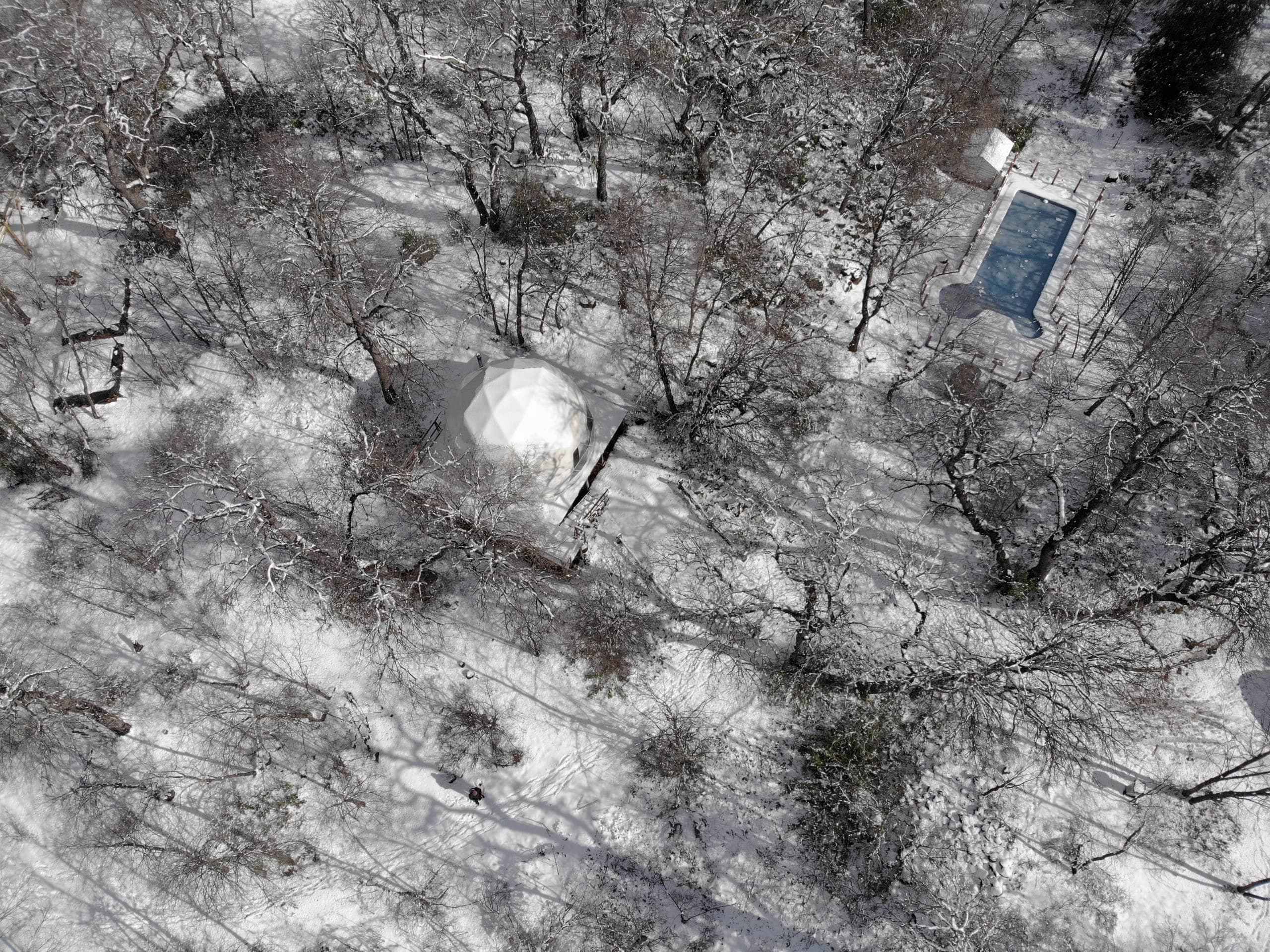 Domos TreePod en invierno, a 12 minutos de la nieve