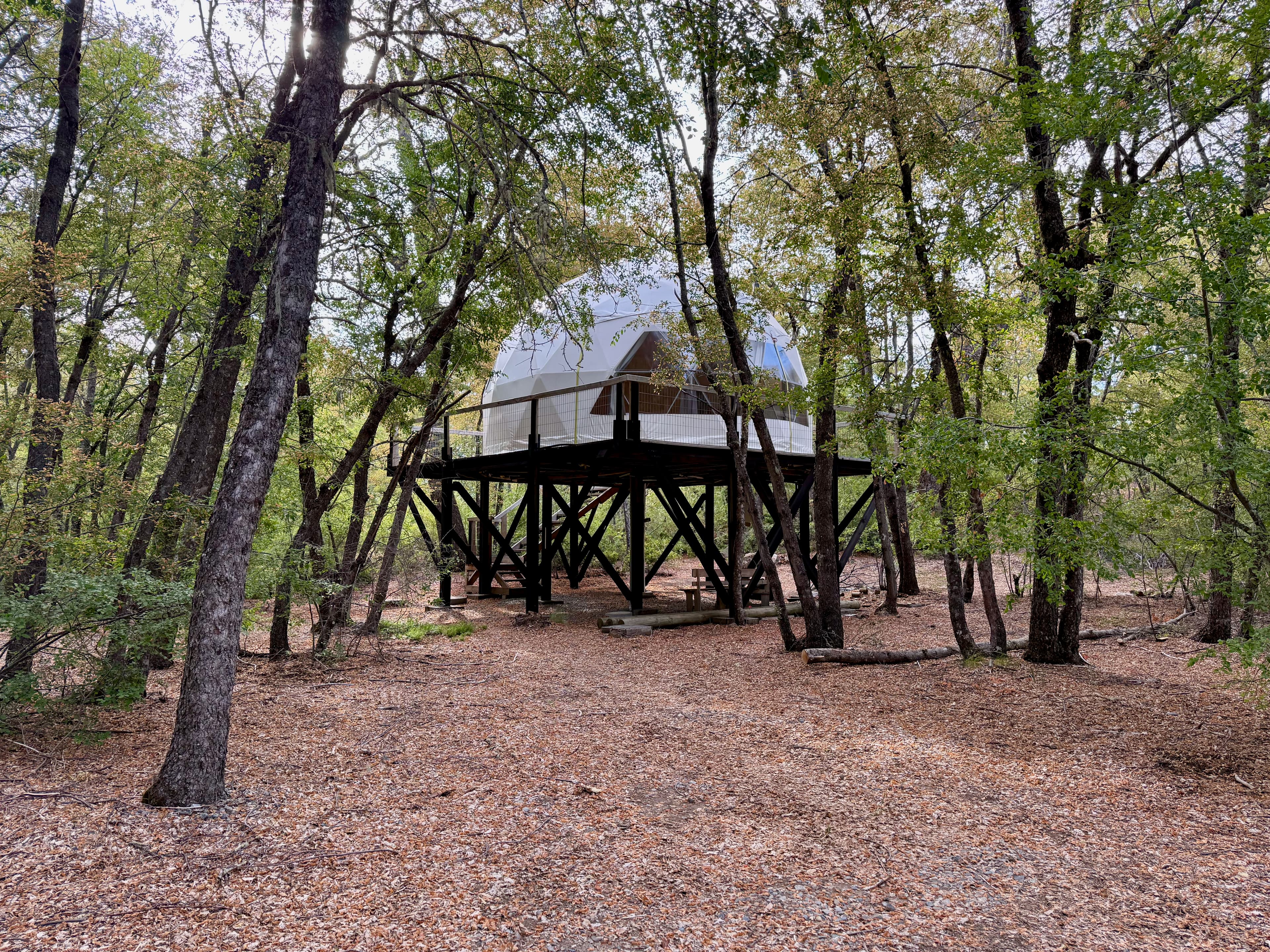 Tu santuario privado en el bosque