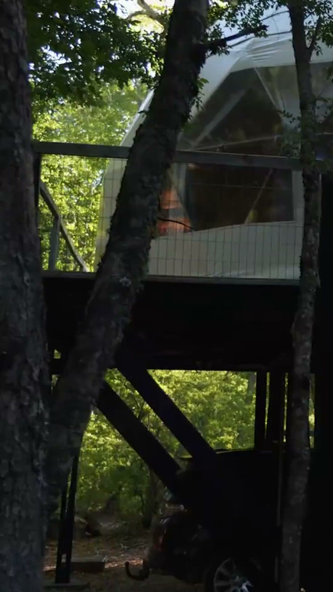 Domos geodésicos TreePod en el bosque nativo de Valle Las Trancas